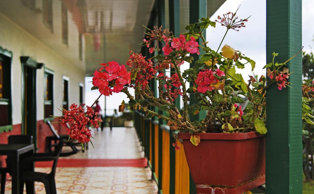 Hostal Casa de Los Taitas Salento Exterior foto